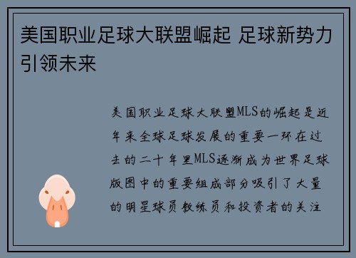 美国职业足球大联盟崛起 足球新势力引领未来